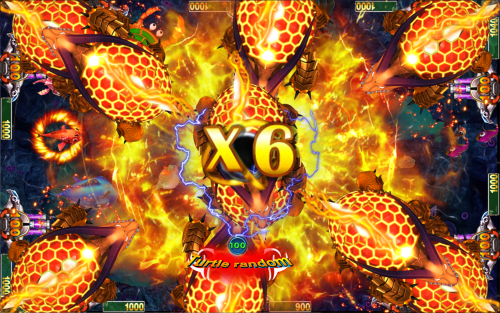 酷龙海神节目图 (5).png